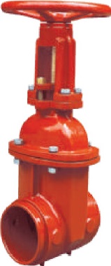 Foam & Water Fire Extinguisher 1